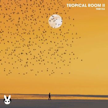 Various Artists - Tropical Room II