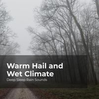 Deep Sleep Rain Sounds, Rain Meditations, Rain Sounds Collection - Warm Hail and Wet Climate