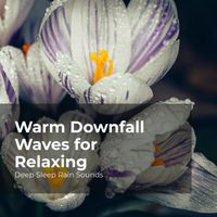 Deep Sleep Rain Sounds, Rain Meditations, Rain Sounds Collection - Warm Downfall Waves for Relaxing