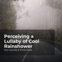 Rain Sounds & White Noise, Raindrops Sleep, Sleep Rain - Perceiving a Lullaby of Cool Rainshower