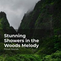 Forest Sounds, Ambient Forest, Rainforest Sounds - Stunning Showers in the Woods Melody