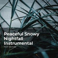 Rain Sounds, Natural Rain Sounds for Sleeping, Rain Storm Sample Library - Peaceful Snowy Nightfall Instrumental