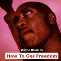 Wayne Dawkins - How to Get Freedom