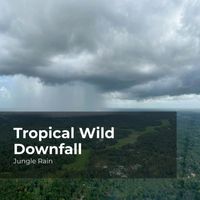 Jungle Rain, Nature and Rain, Deep Rain Sampling - Tropical Wild Downfall