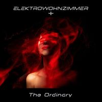 Elektrowohnzimmer - The Ordinary