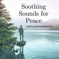 Royal Philharmonic Orchestra - Soothing Sounds for Peace: Gentle Instrumentals
