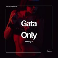 Verdun Remix - Gata Only (Techengue) (Remix)
