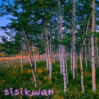 ASKO - sîsîkwan