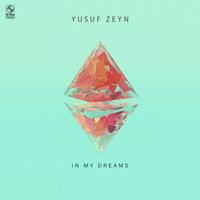 Yusuf Zeyn - In My Dreams