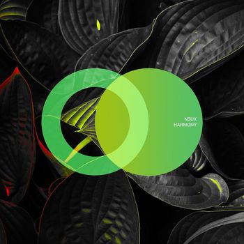 N3UX - Harmony