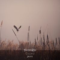 Ocoro - Jikimi (Radio Edit)