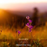 Veizo - Bloom for You (Radio Edit)