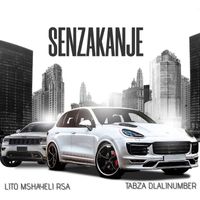 Lito Mshayeli RSA and Tabza Dlalinumber - Senzakanje