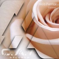 Nico Parrior - Flower