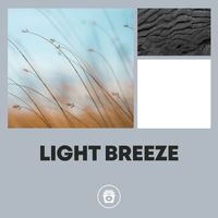 Rain Sounds - Light Breeze