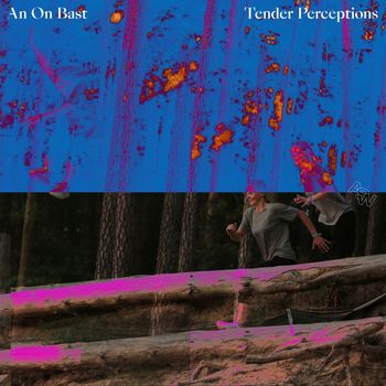 An On Bast - Tender Perceptions