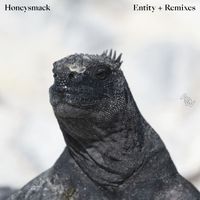 Honeysmack - Entity (Remixes)