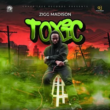 Zigg Madison - Toxic