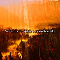 Forest Sounds - 57 Tracks To Relieve Exam Anxiety
