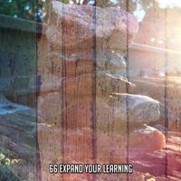 White Noise Therapy - 66 Expand Your Learning