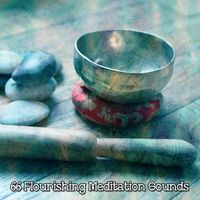 Yoga - 66 Flourishing Meditation Sounds
