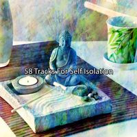 Brain Study Music Guys - 58 Tracks For Self Isolation