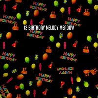 Happy Birthday Party Crew - 12 Birthday Melody Meadow
