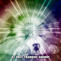 Deep Sleep Relaxation - 67 Only Tranquil Sounds