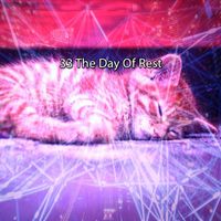 Baby Sleep Music - 33 The Day Of Rest
