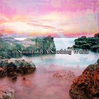 Meditation Spa - 50 Sounds Of A Soothing World