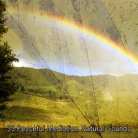 Yoga - 35 Peaceful Mediation Natural Sounds