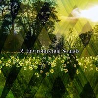 Guided Meditation - 59 Environmental Sounds