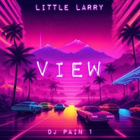 Little Larry - View (feat. DJ Pain 1)