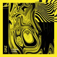 DRZ - Player / Trips