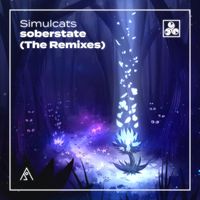 Simulcats - soberstate (The Remixes)