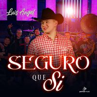 Luis Angel - Seguro Que Si