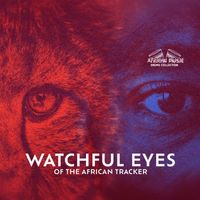 African Music Drums Collection - Watchful Eyes of the African Tracker