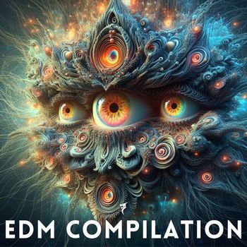 Various Artists - EDM Compilation (Explicit)