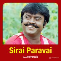 Ilaiyaraaja - Sirai Paravai (Original Motion Picture Soundtrack)