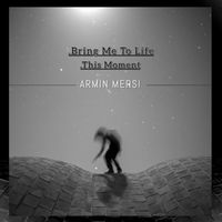 Armin Mersi - Bring Me to Life - This Moment