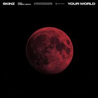 Skinz feat. Albert Heath - Your World