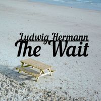 Ludwig Hermann - The Wait