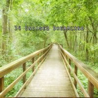 Nature Recordings - 34 Encased Dreamland