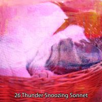 Thunderstorms - 26 Thunder Snoozing Sonnet