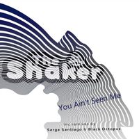 The Shaker - You Ain't Seen Me