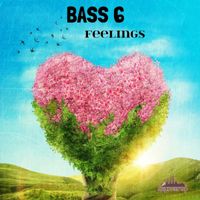 Bass6 - Feelings