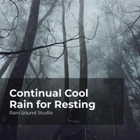 Rain Sound Studio, Meditation Rain Sounds, The Rain Library - Continual Cool Rain for Resting