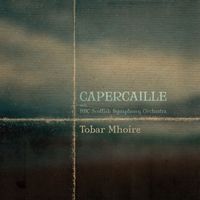 Capercaillie - Tobar Mhoire (Orchestral)