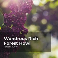 Forest Sounds, Ambient Forest, Rainforest Sounds - Wondrous Rich Forest Howl