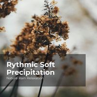 Nature Rain Relaxation, Rain Recorders, Rainfall - Rythmic Soft Precipitation